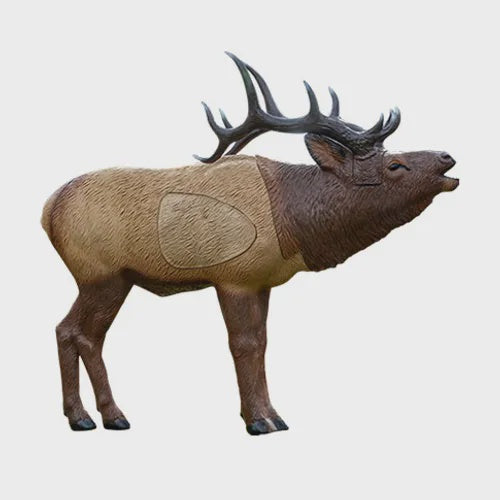 Rhinehart Targets