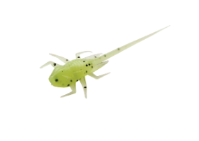 13 Fishing B.A.M.F. Plastics - 6pk