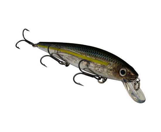 KVD Jerk Bait Shallow