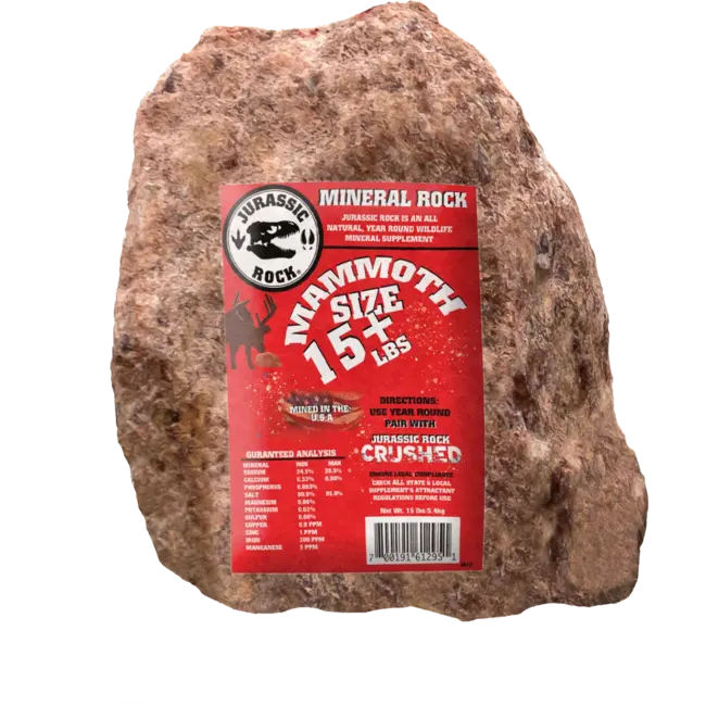 Jurassic Mineral Rock 15lbs