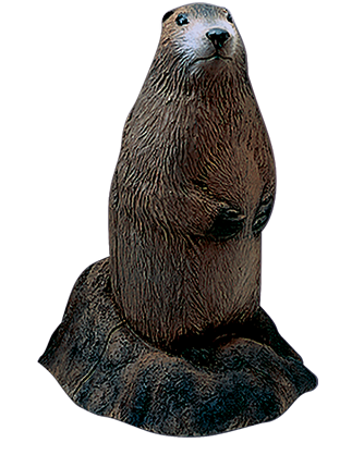 Woodchuck Archery Target