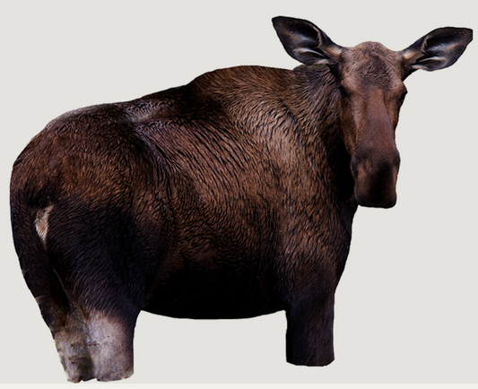 Moose II Decoy