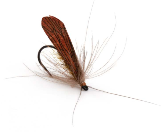 SHOR Fishing Pro Sportfisher Caddis Wing