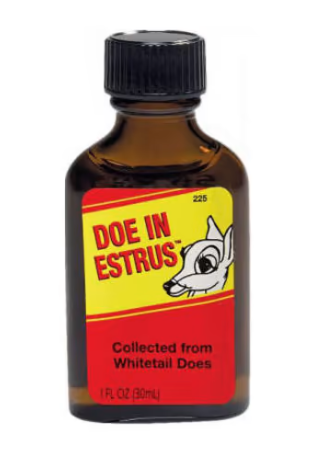 Doe in Estrus